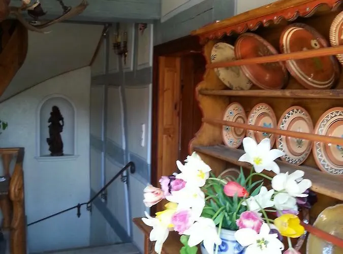 Bed & Breakfast Roter Loewe Heiligkreuzsteinach